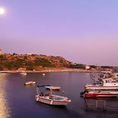 Coral Christina By *